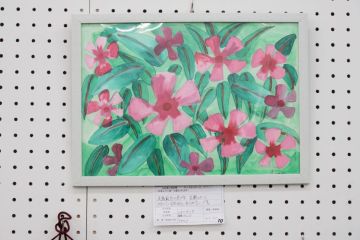 作品タイトル:ニチニチソウ 作者:kenji の画像