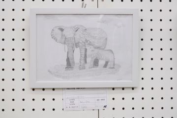 作品タイトル:象さんの散歩 作者:Tomo の画像