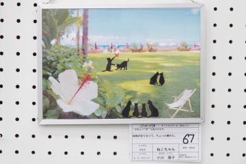 作品タイトル:ねこちゃん 作者:小川　陽子 の画像