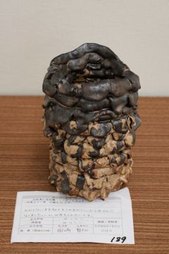 作品タイトル:ガツン！！ 作者:田﨑　智仙 の画像