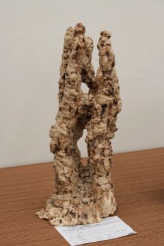 作品タイトル:お！お！おおお！ 作者:保坂　竜也 の画像